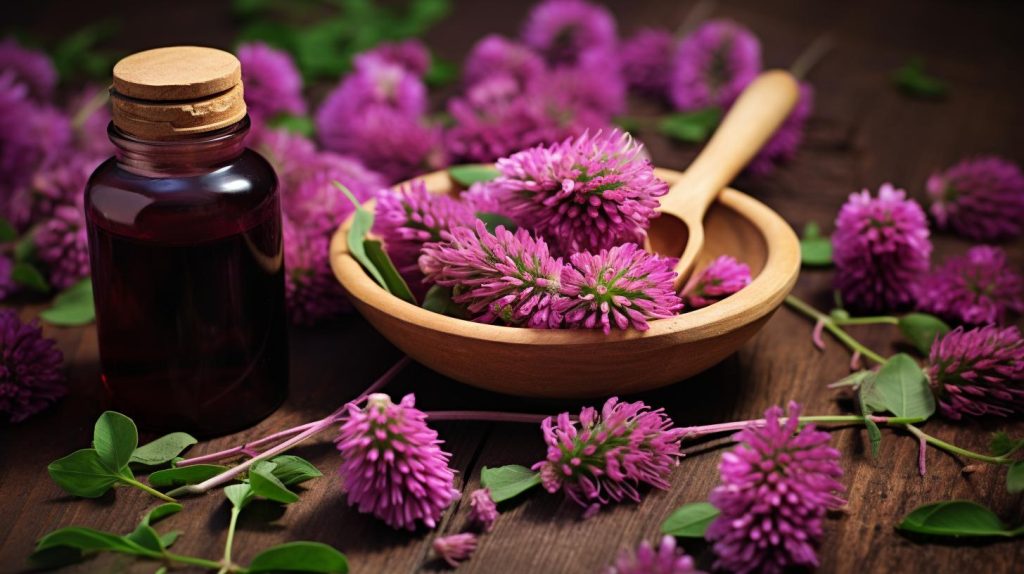 Конюшина лікувальні властивості